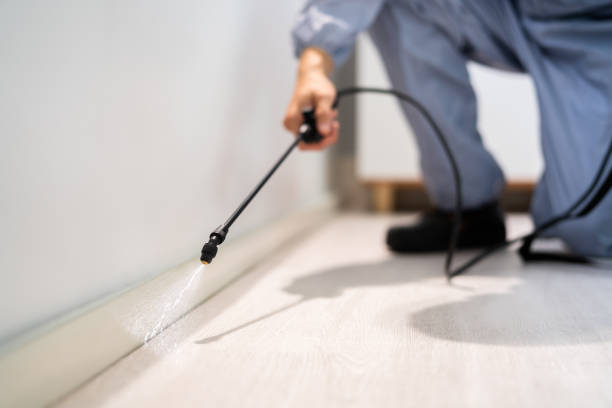 Certified termite inspector examining foundation in Pacific